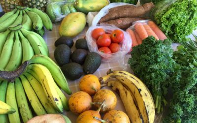 Reduce Inflammation with an Anti-Inflammatory Diet