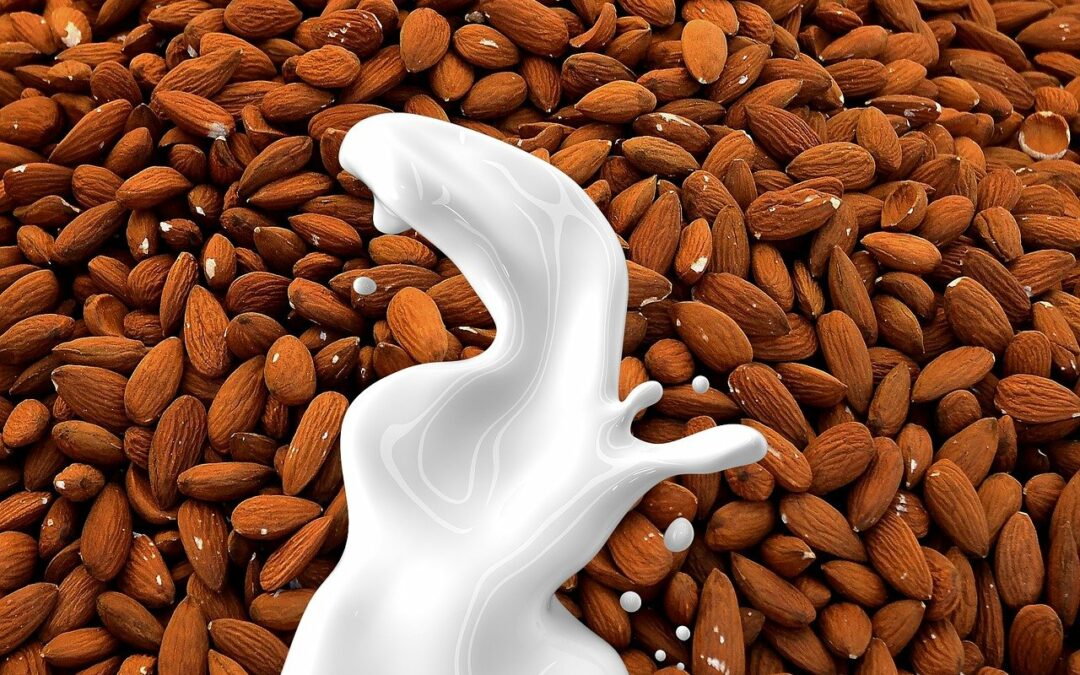 Healthy Milk Alternatives for a Balanced Diet