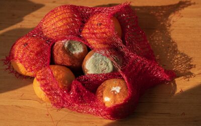 How to Avoid Food Waste