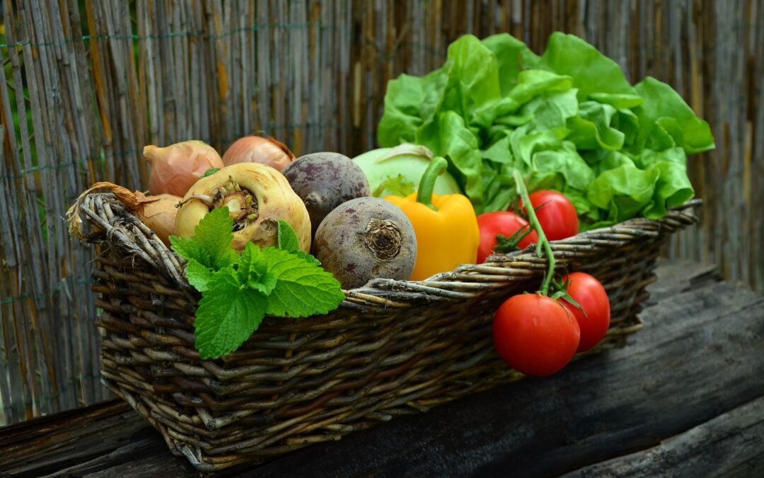How and Why to Eat a Plant-Based Diet