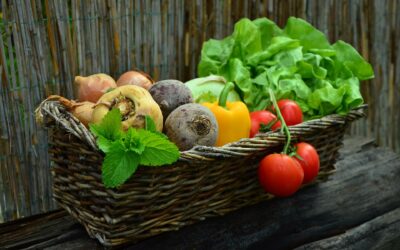 How and Why to Eat a Plant-Based Diet