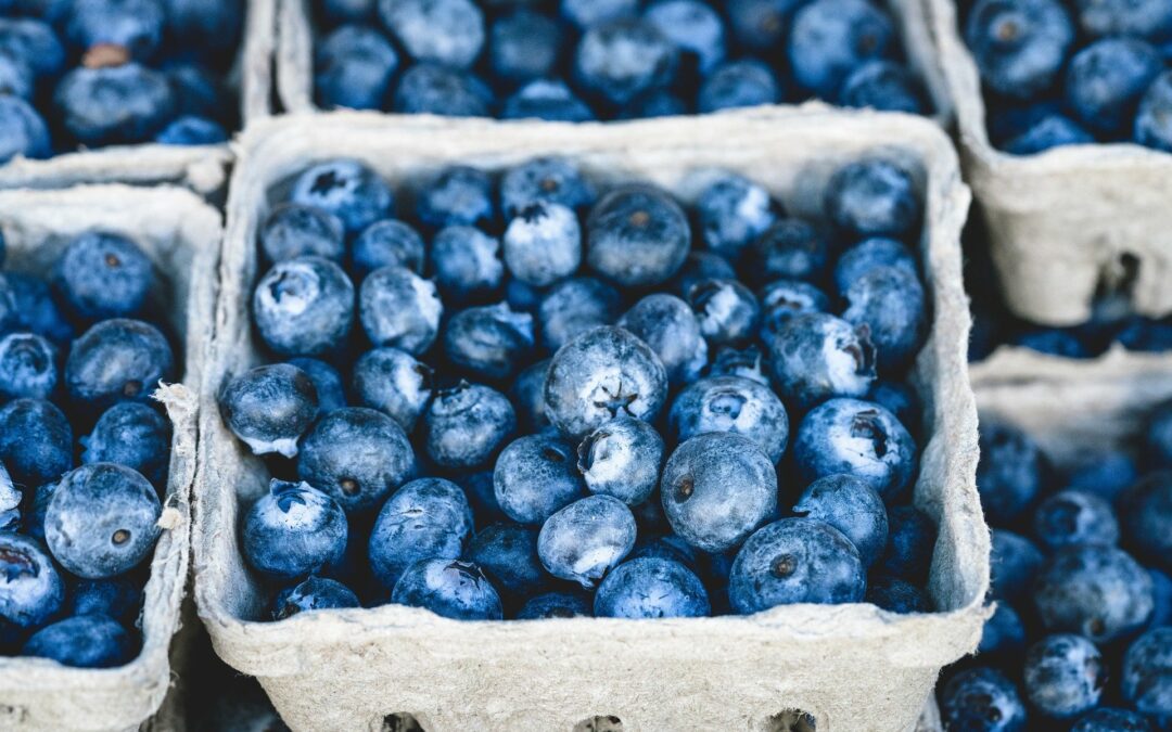 July is National Blueberry Month – Ready to Celebrate?
