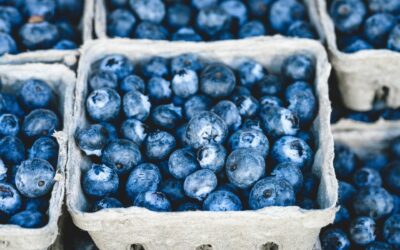 July is National Blueberry Month – Ready to Celebrate?