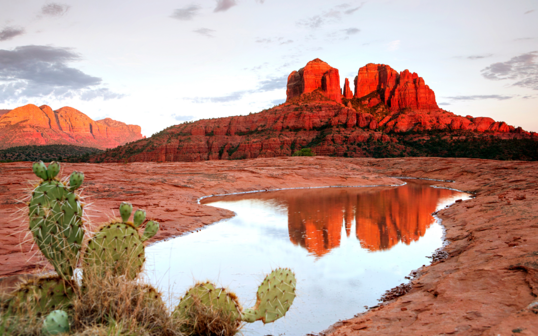 How to Stay Hydrated Living in Arizona