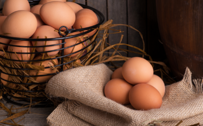 Egg-cellent Ways to Prepare Eggs!