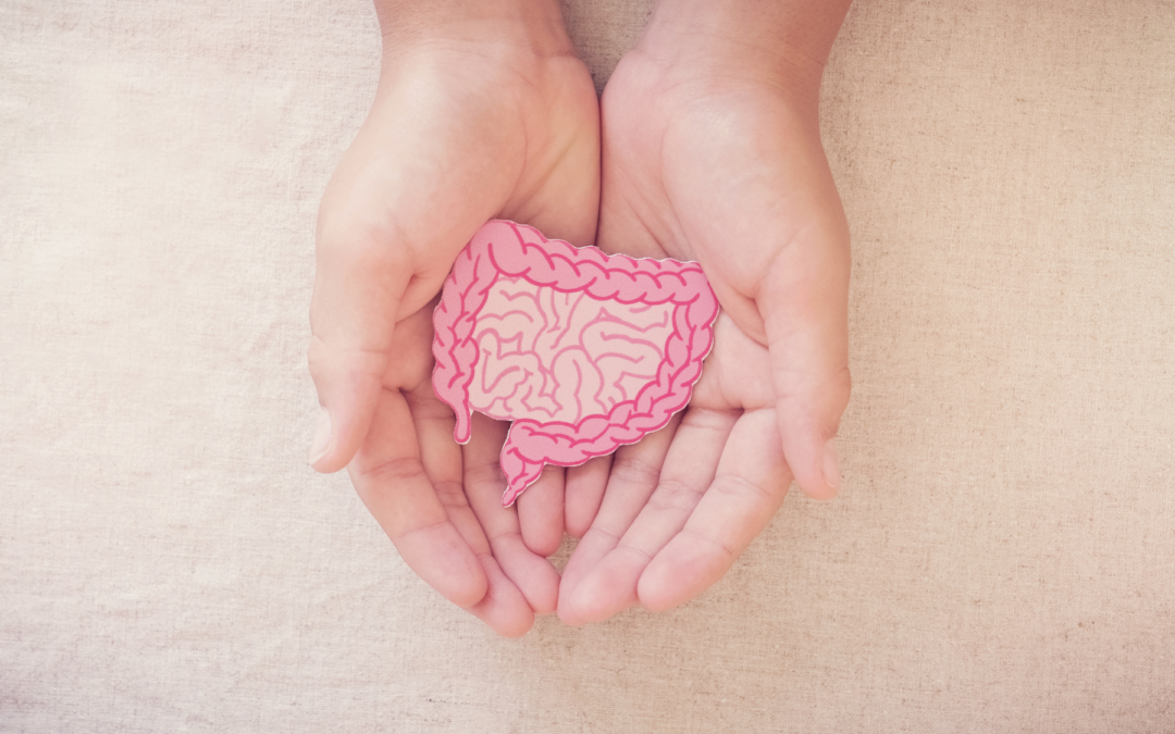 All About Gut Health