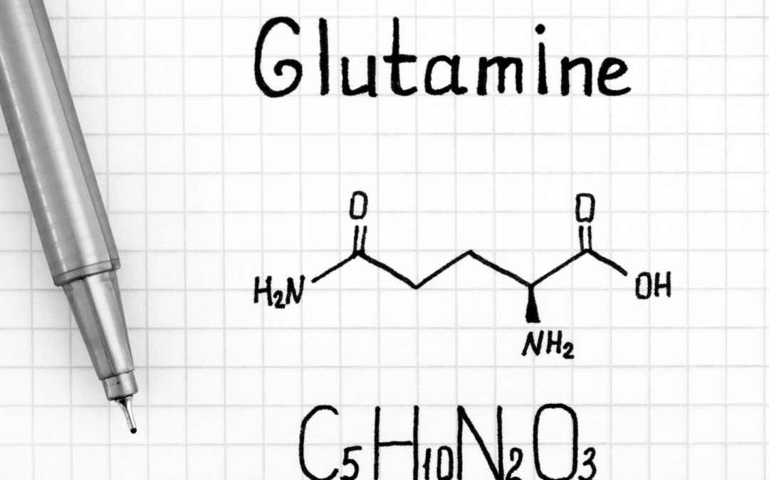 How Does L-Glutamine Impact Our Gut Health?