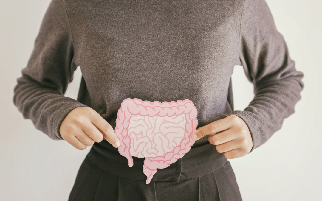 What is the Gut Microbiome?