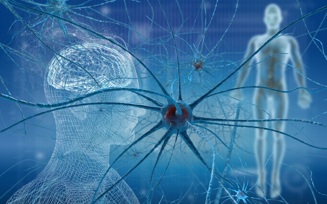SSRIs and the Gut-Brain Connection