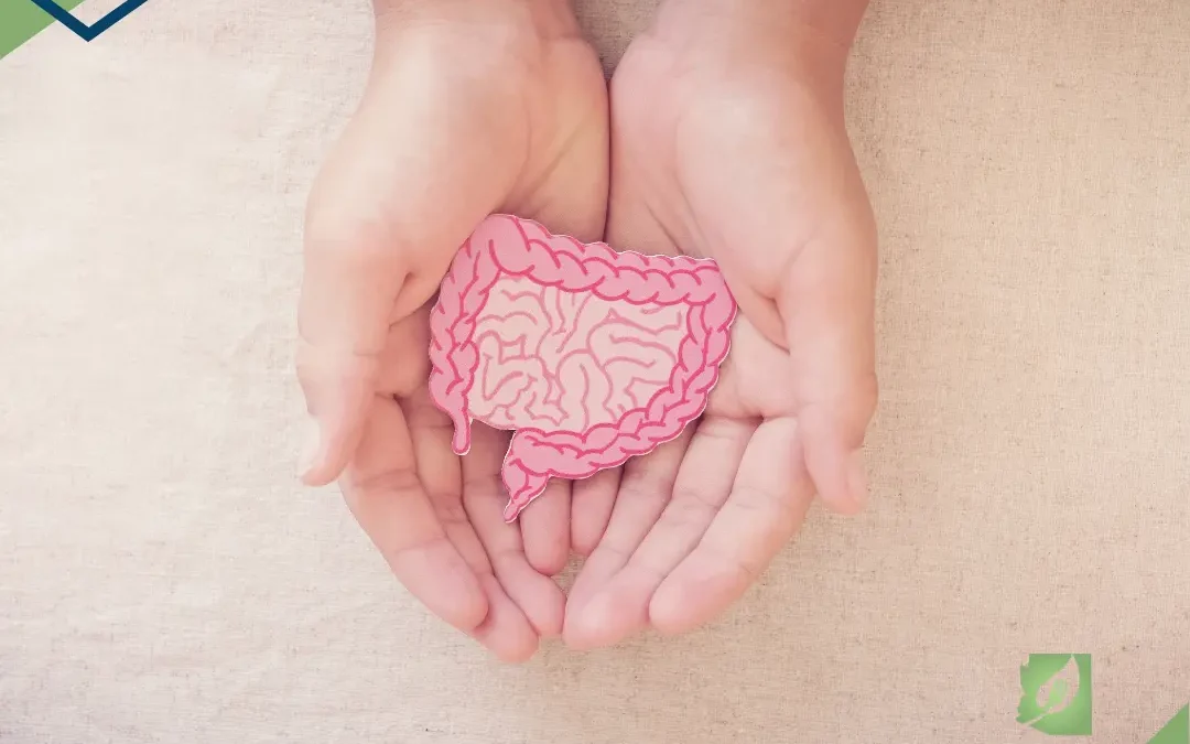 Gut Feeling: The Benefits of Probiotics for People with Celiac Disease