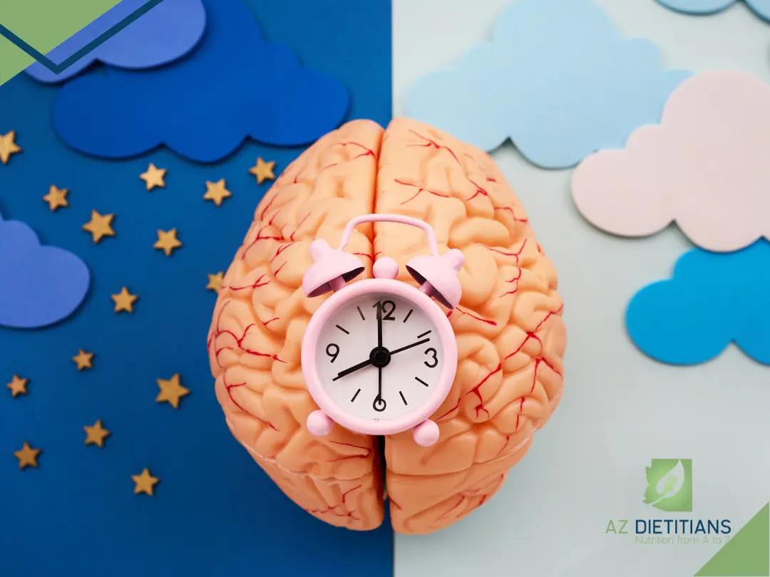 Learn how circadian rhythm and meal timing are connected