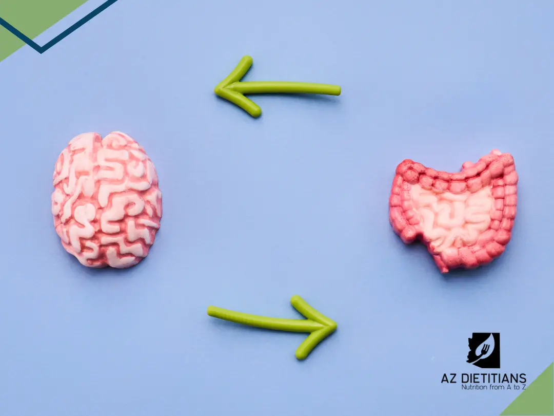 Gut health and mental health are connected